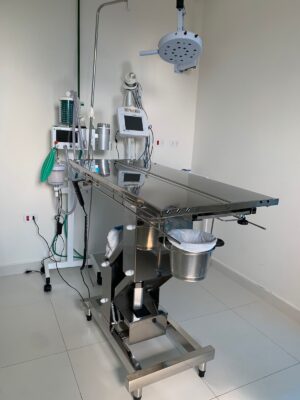 Eco's Pet Park: conheça o hospital veterinário que oferece atendimento completo em 15 especialidades