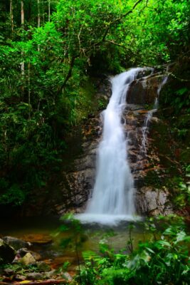 Ecoturismo no Litoral Norte de São Paulo: descubra 10 atrações para aproveitar o outono na região
