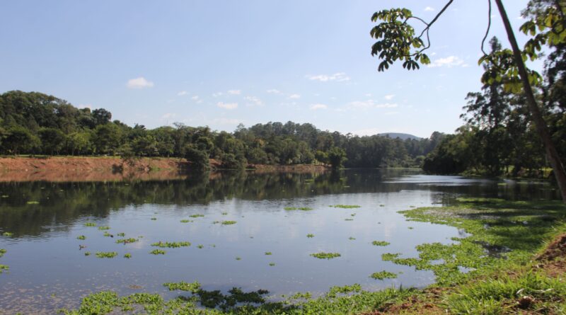 Parque Ecológico de Barueri tem lagoa recuperada e em breve terá mais atrações, como ciclovia e golfe aquático