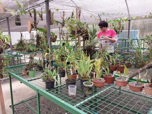 orquidário Barueri