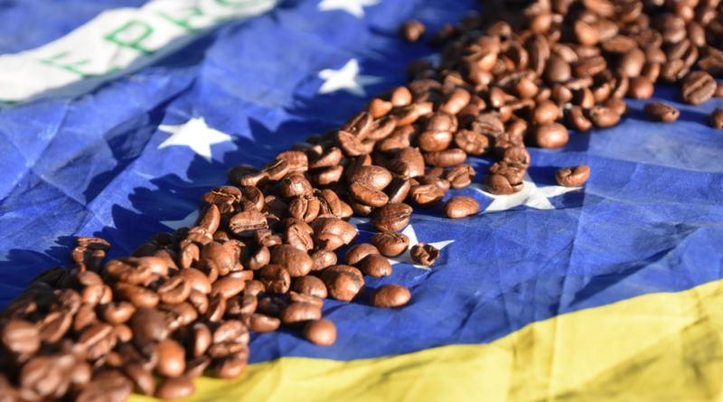 café do brasil festival