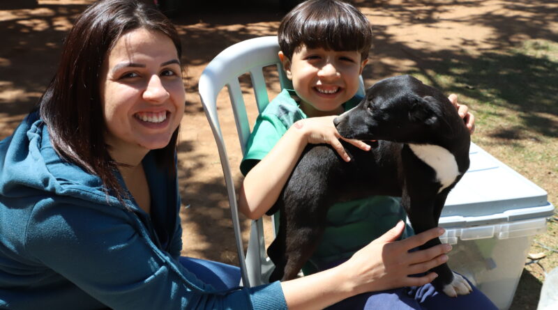 Feira de Adoção de Cães Barueri