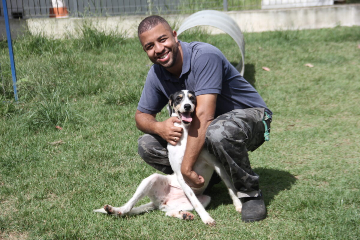 adoção de pets Barueri cães e gatos