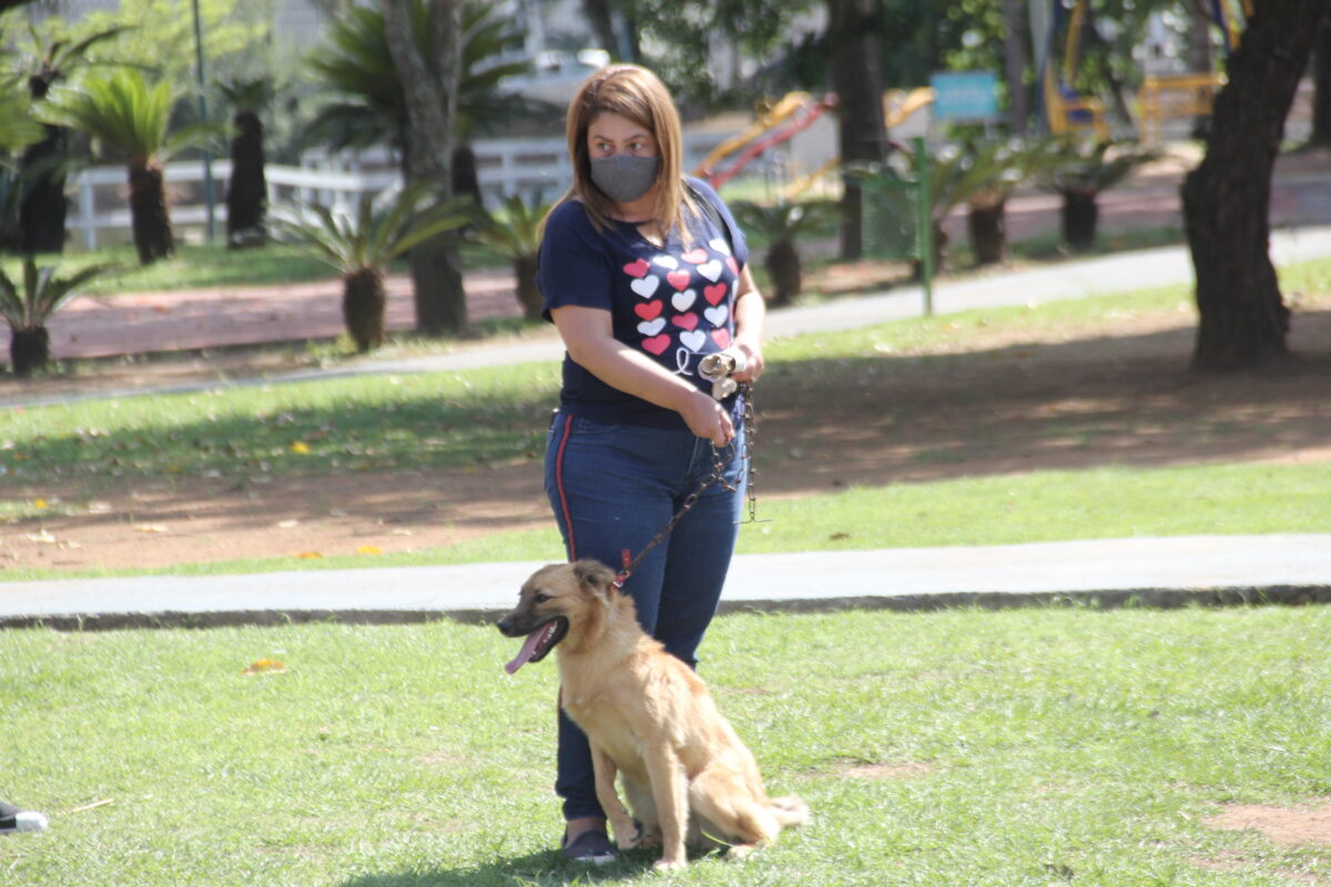 Adota delivery Barueri Alphaville Pets