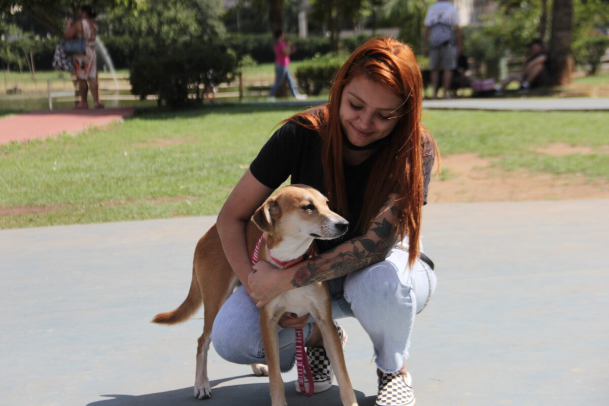 Adota delivery pets Barueri Alphaville adoção responsável