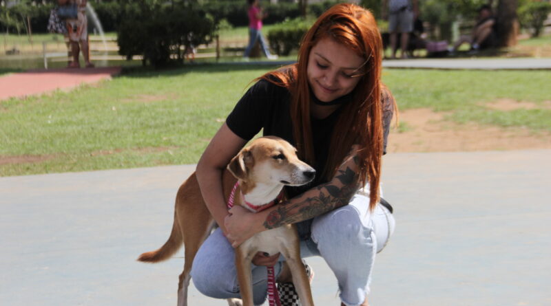 Adota delivery pets Barueri Alphaville adoção responsável