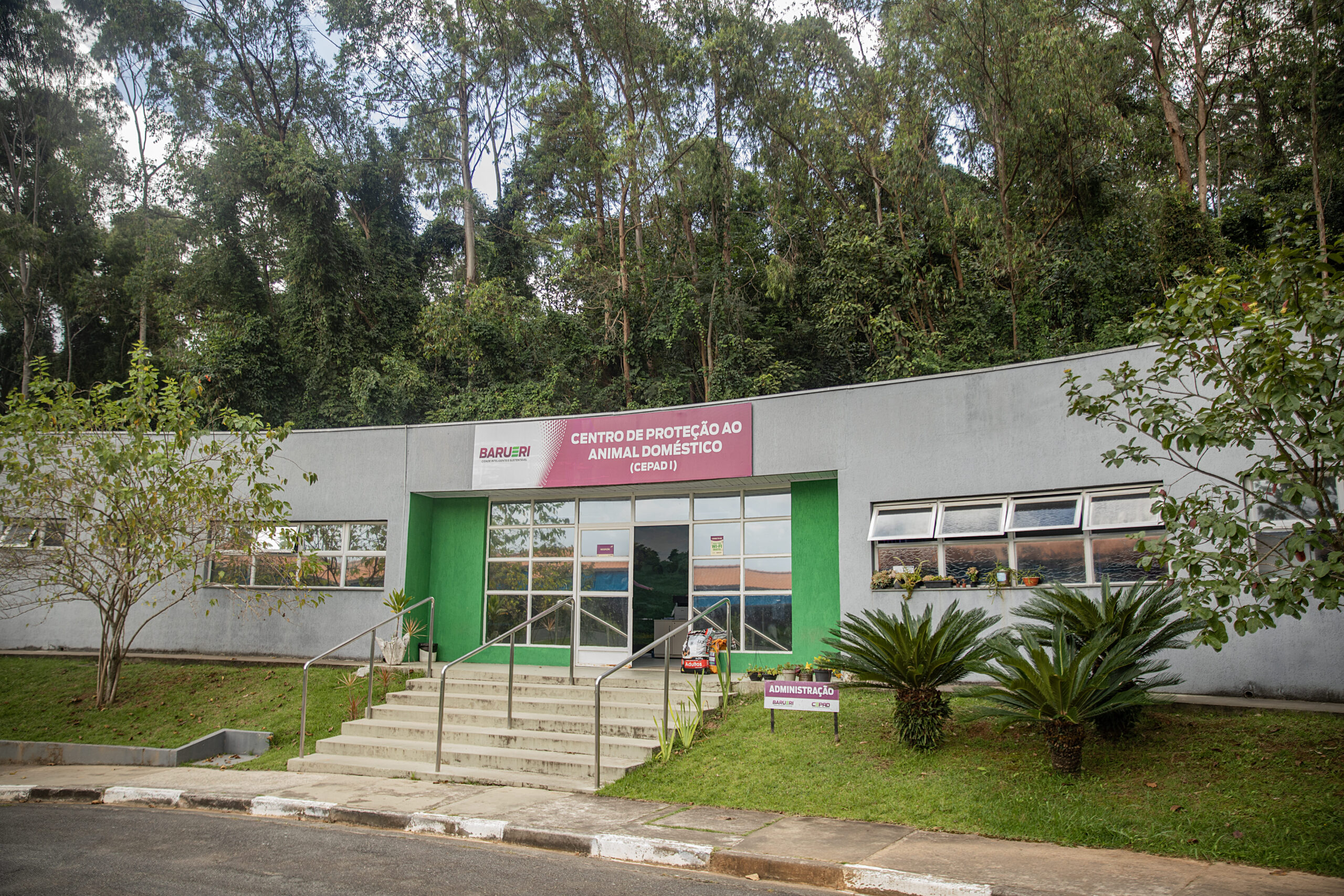 Sema Barueri Alphaville Pets resgate caastrações cães gatos 
