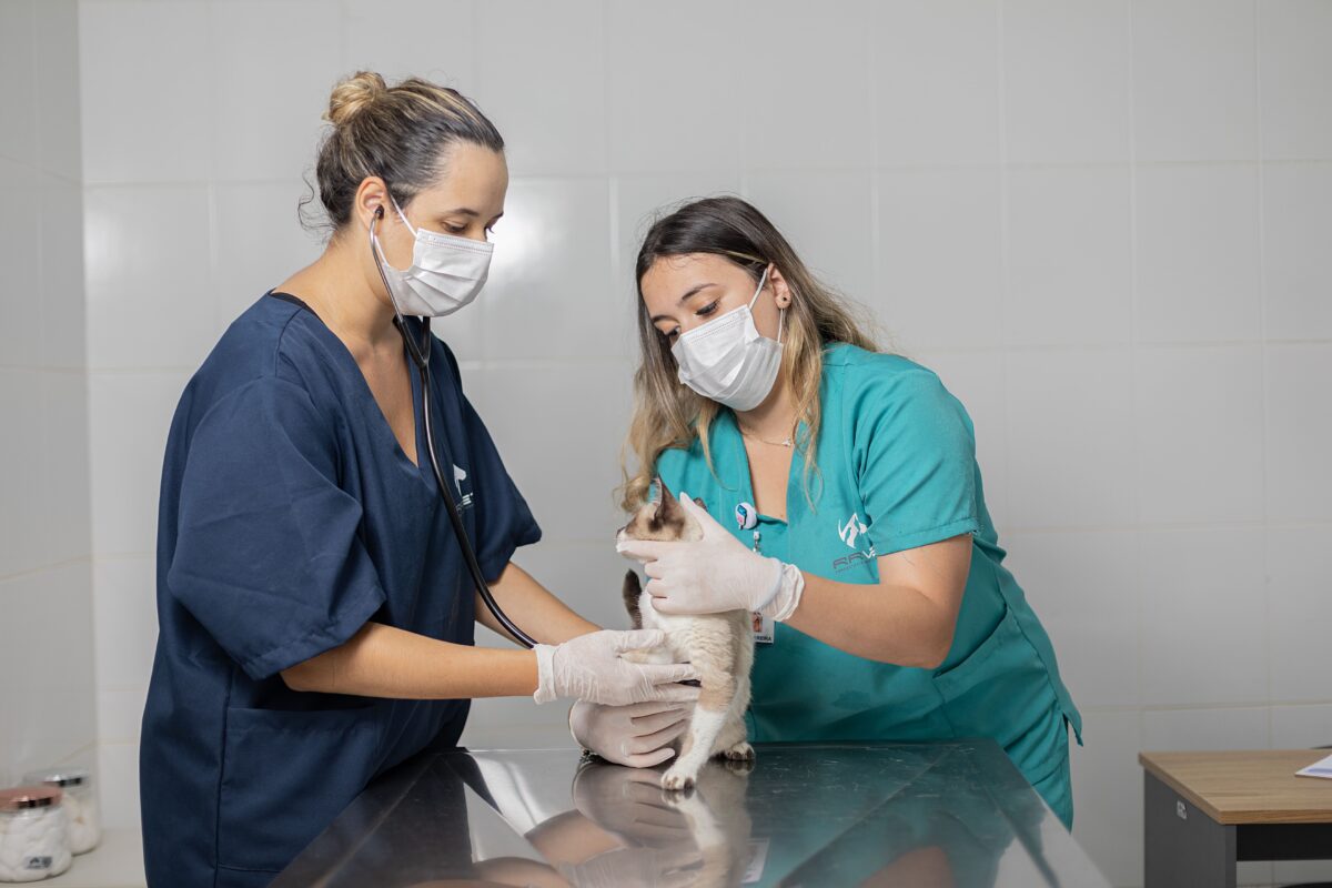 Sema Barueri Alphaville cepad I e II castração cães gatos pets