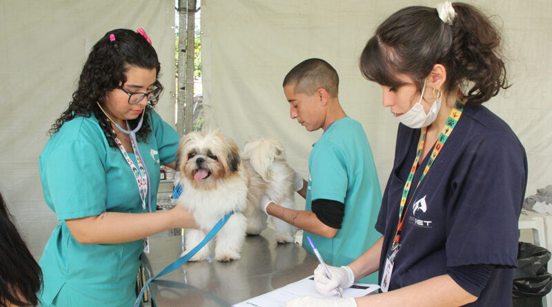 Parque Dom José recebe Dia Animal neste final de semana, 21 e 22/10