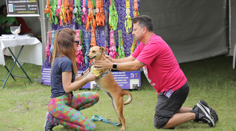 Alphaville terá 4 feiras de adoção de pets neste mês de dezembro
