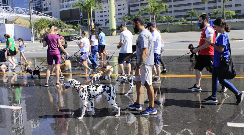 Barueri terá Cãominhada neste sábado, dia 9, no Parque Dom José