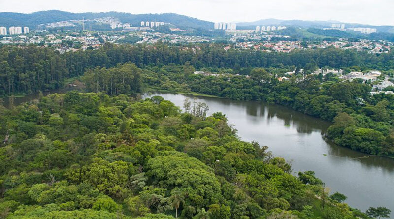 Barueri é reconhecida pela ONU como cidade amiga das árvores