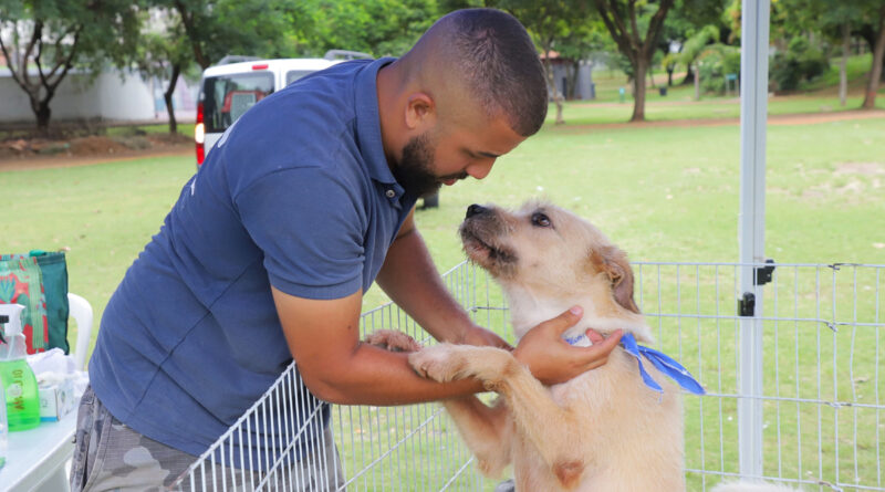 Barueri abre agendamento de castração de pets no dia 5