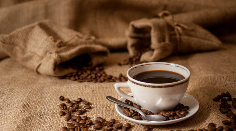 São Paulo Coffee Festival começa nesta sexta, 21, na Bienal