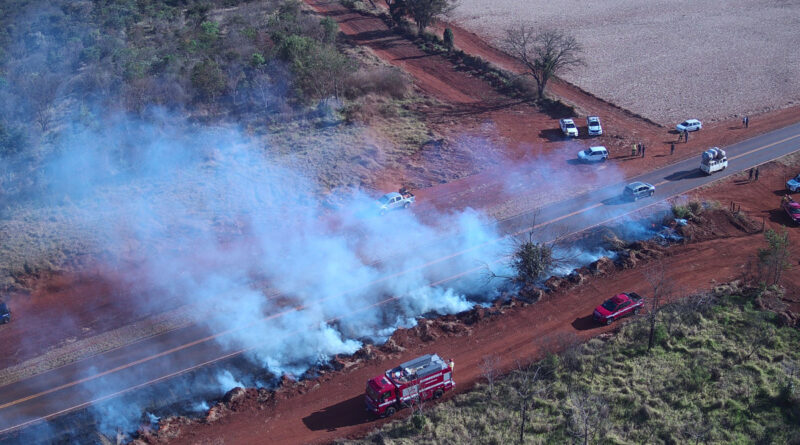 Drones e satélites ajudam a combater e prevenir incêndios em SP