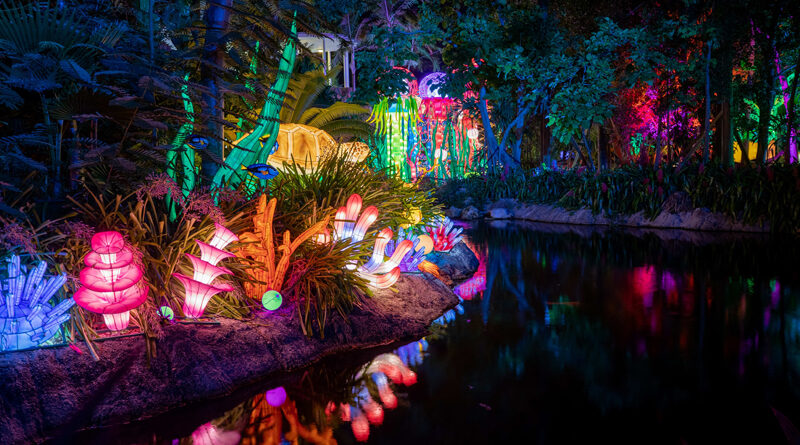 “Lektrik: Um Festival de Luzes” inicia temporada no Jardim Botânico