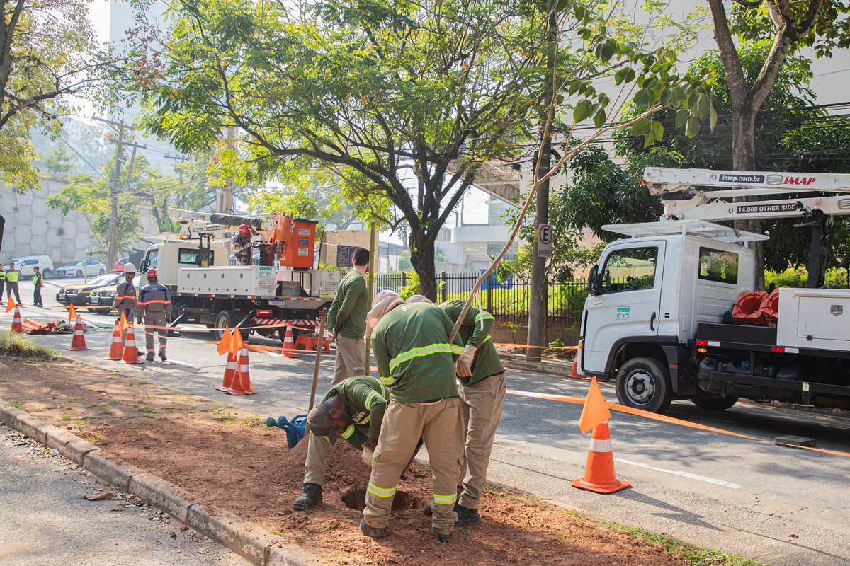 Barueri e Enel iniciam projeto “Árvore Mais Segura”