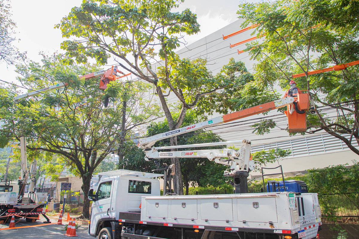 Barueri e Enel iniciam projeto “Árvore Mais Segura”
