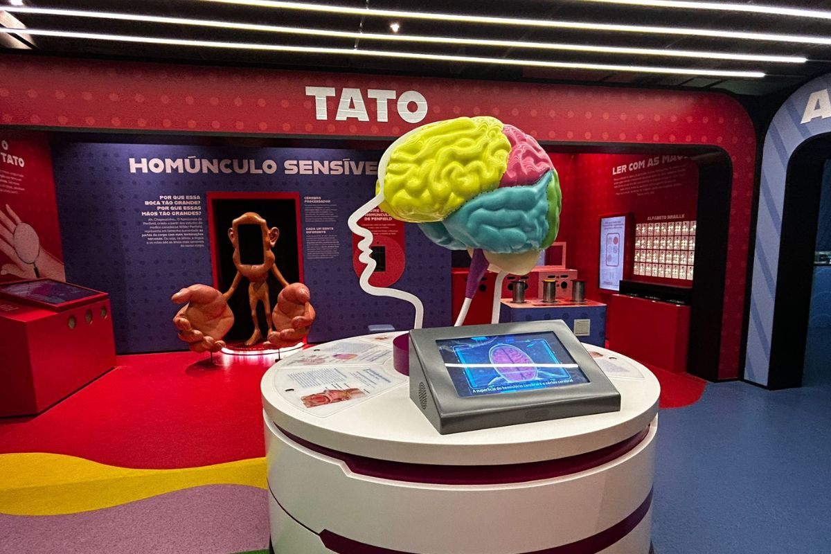 Férias no Museu da Imaginação têm programação repleta de experiências